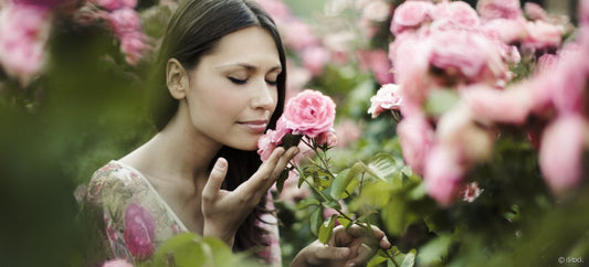 Eau de rose pétale MAroc
